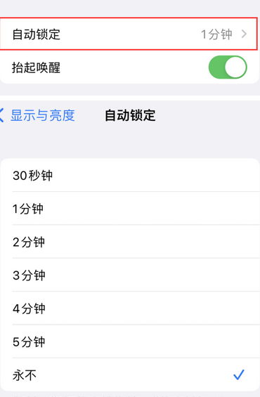 巨鹿苹果换屏维修分享无法调整iPhone自动锁屏的时间怎么办